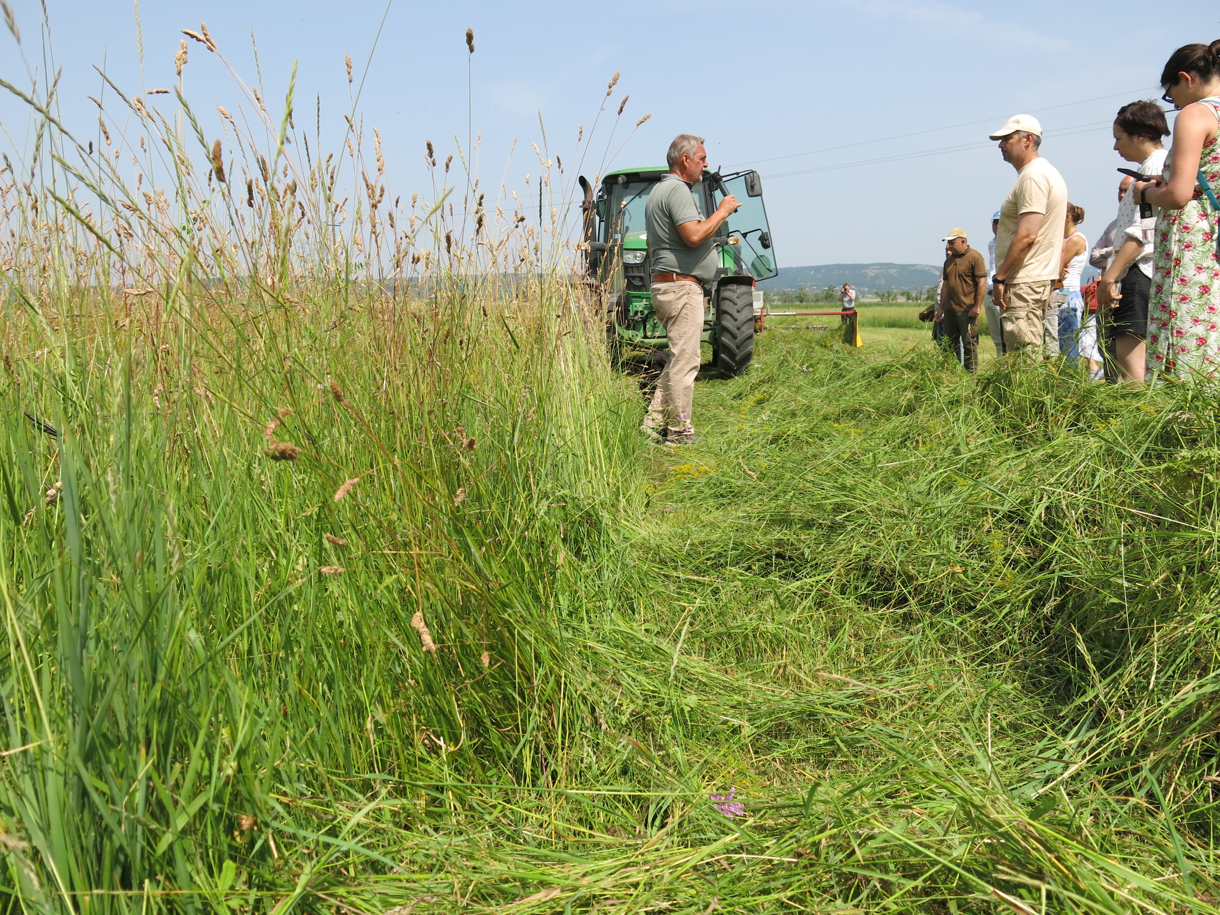 kaszálási bemutató