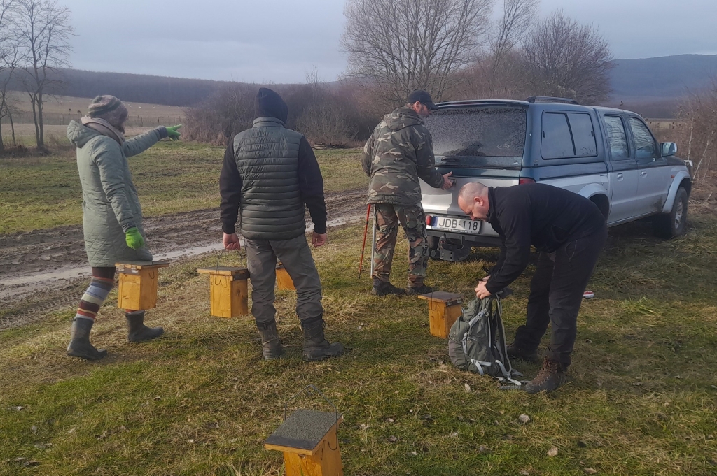 börzsönyi odútelep