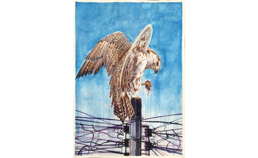 2. helyezett: Szabó Ilona (2006)