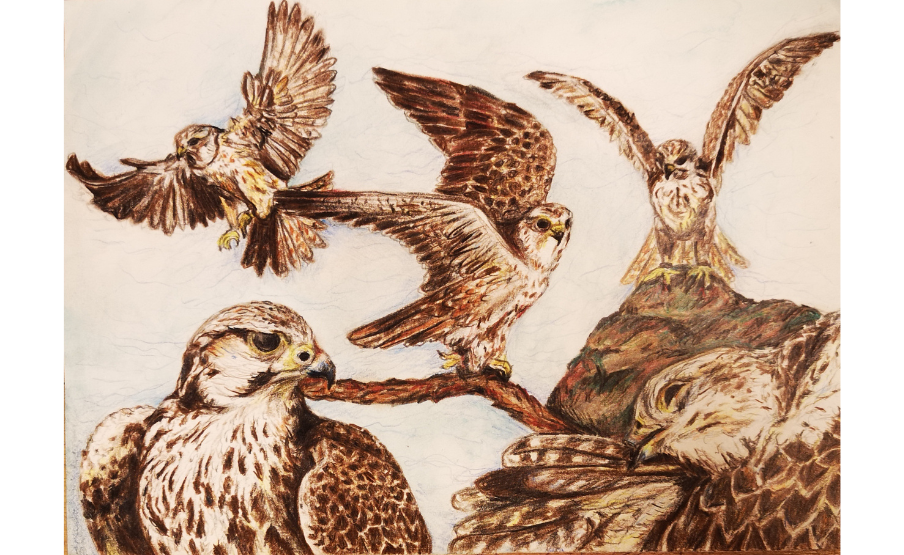 3. helyezett: Tári Tamara (2007)