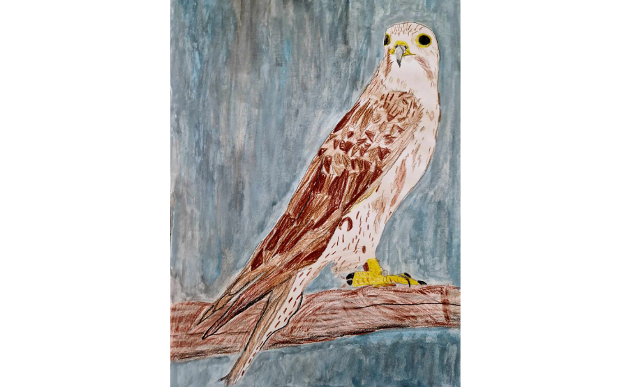 2.helyezett: Cserpes Imre (2017)