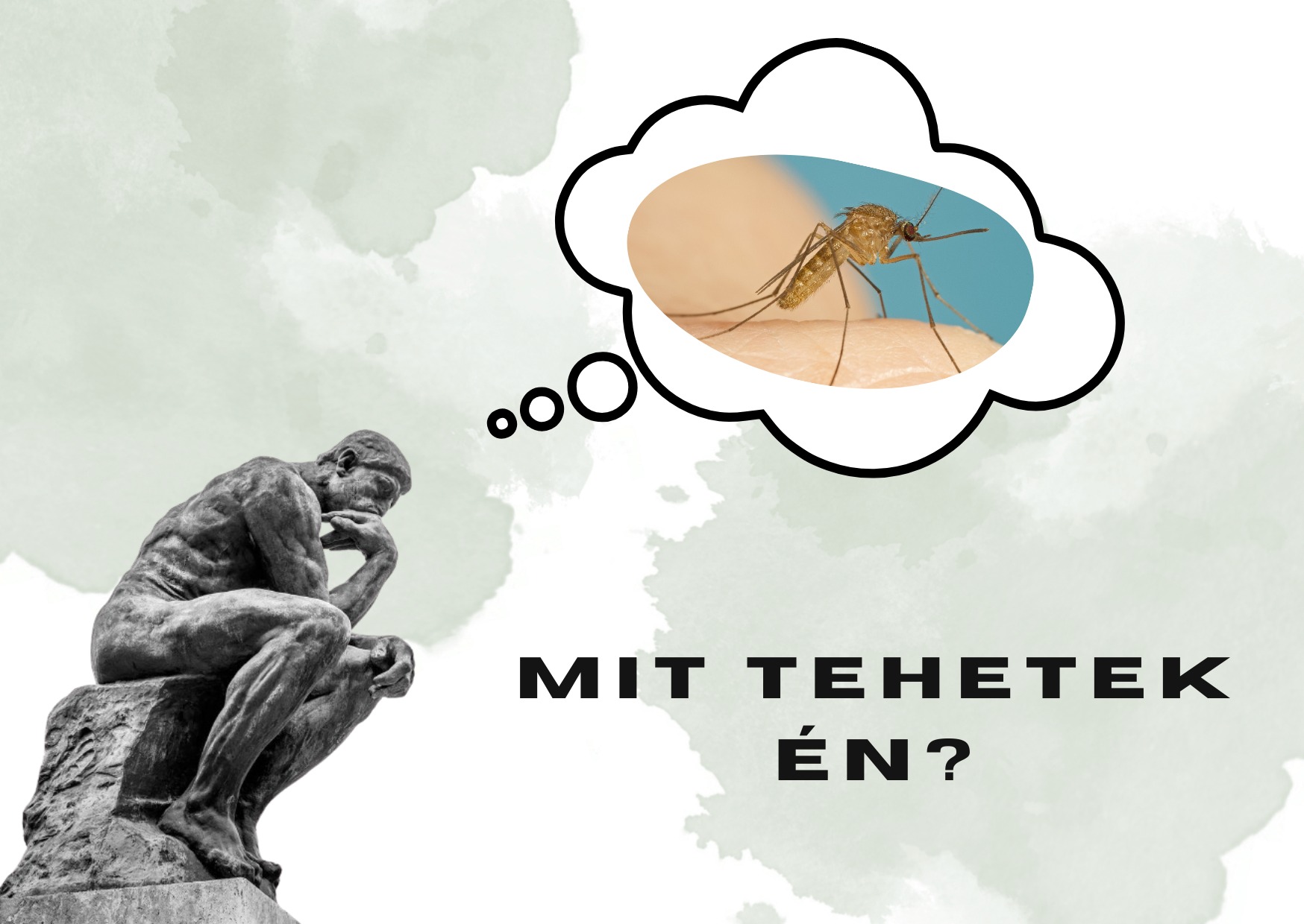 Mit tehetek én?