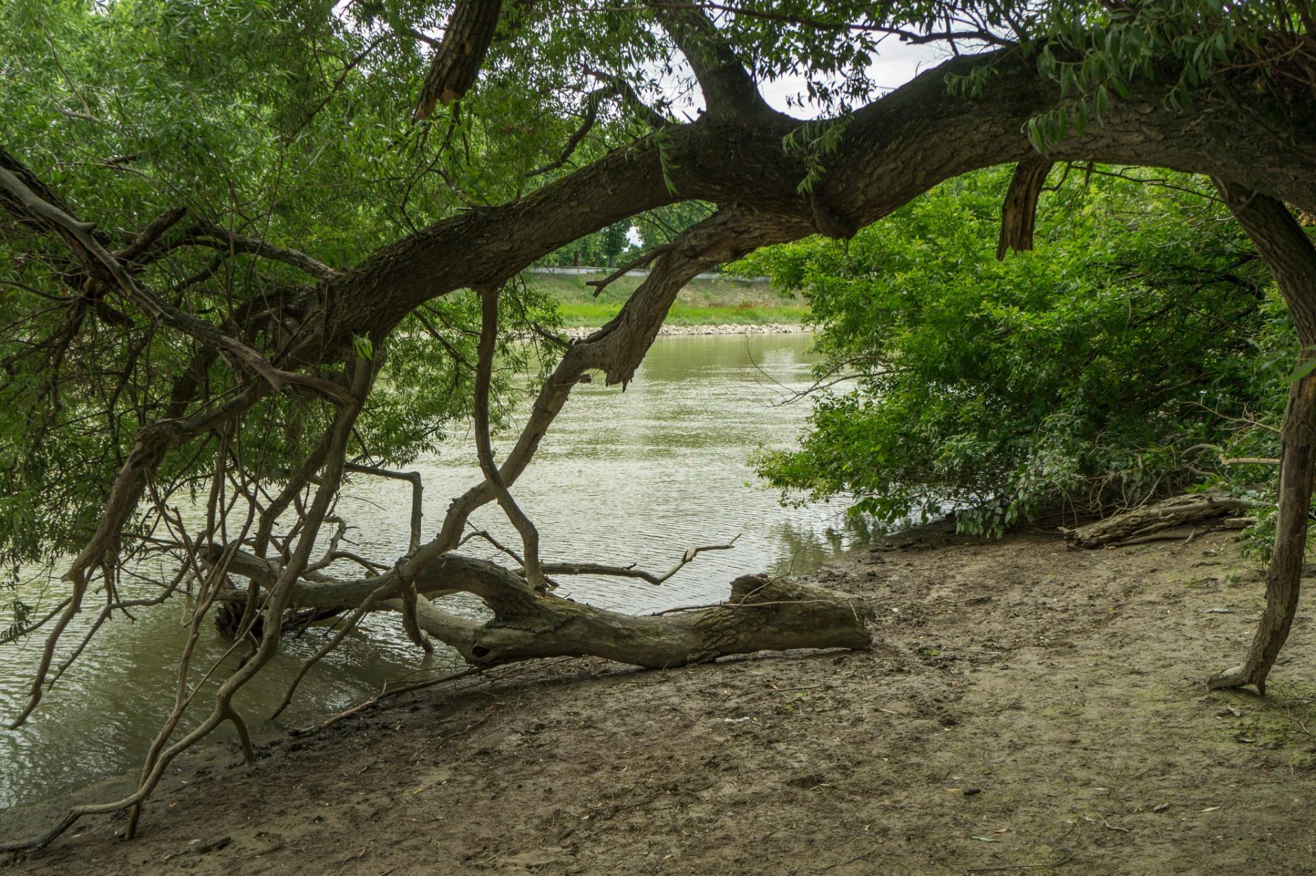 Óbudai-sziget