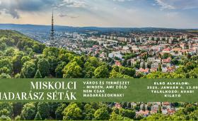 Miskolci madarász séták