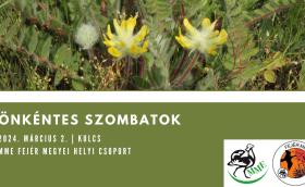 önkntes szombat Kulcson