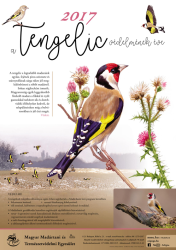 tengelic poszter