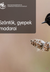 mme_naptar_2021_a5