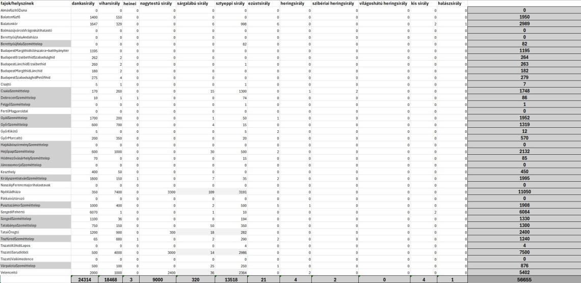 2. táblázat A sirályok eloszlása az országos felmérés során