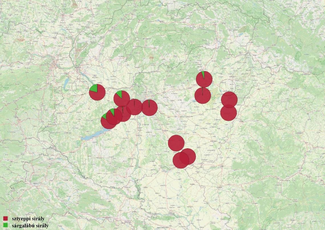 2.	ábra: A szeméttelepeken meghatározott két gyakori nagytestű sirály faj aránya országosan