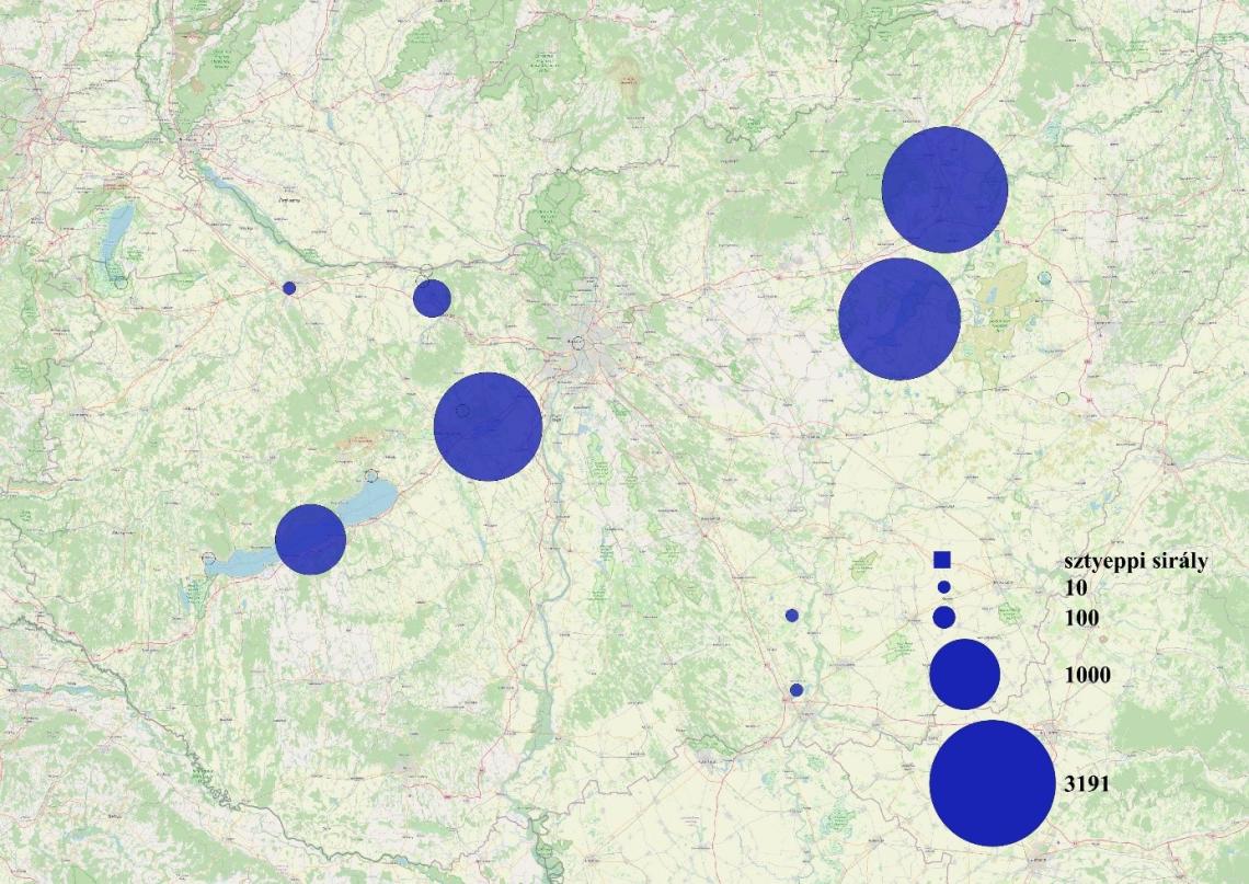 6.	ábra: Éjszakázóhelyen számlált sztyeppi sirályok (Larus cachinnans) országos megoszlása