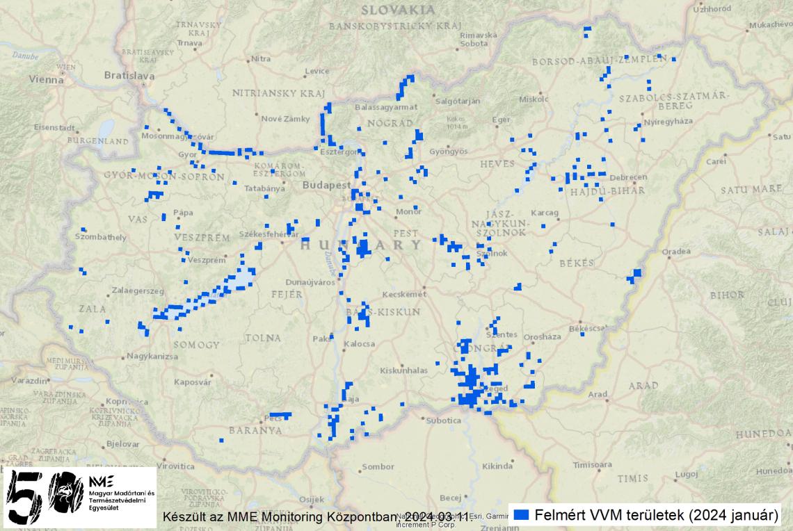 A 2024-es télközepi vízimadár számlálás során felmért 2,5x2,5 km-es UTM négyzetek