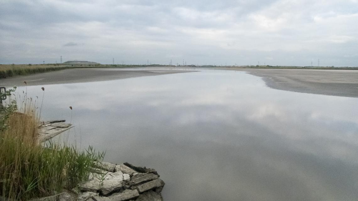 Lecsapolt halastó a sándorfalvi Fertőn ( Fotó: Tokody Béla)