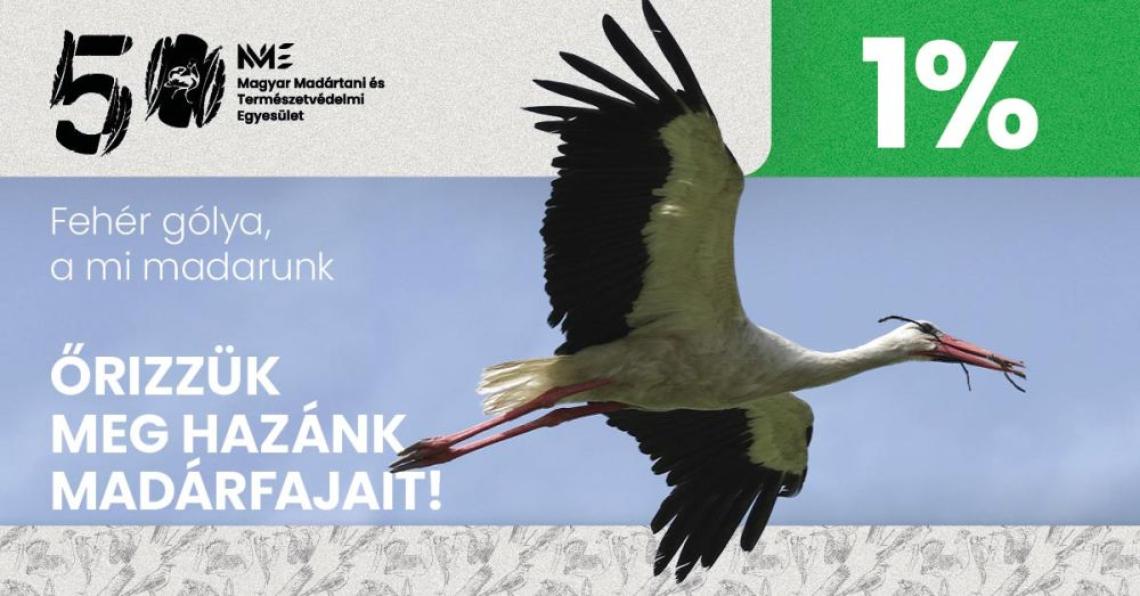 Őrizzük meg hazánk madarait - a fehér gólyát is