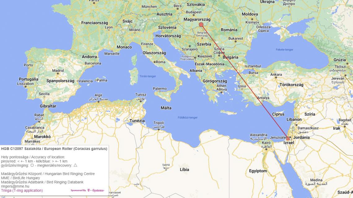 A gyűrűs szalakóta megkerülése térképen ( Forrás: MME Madárgyűrűzési központ)