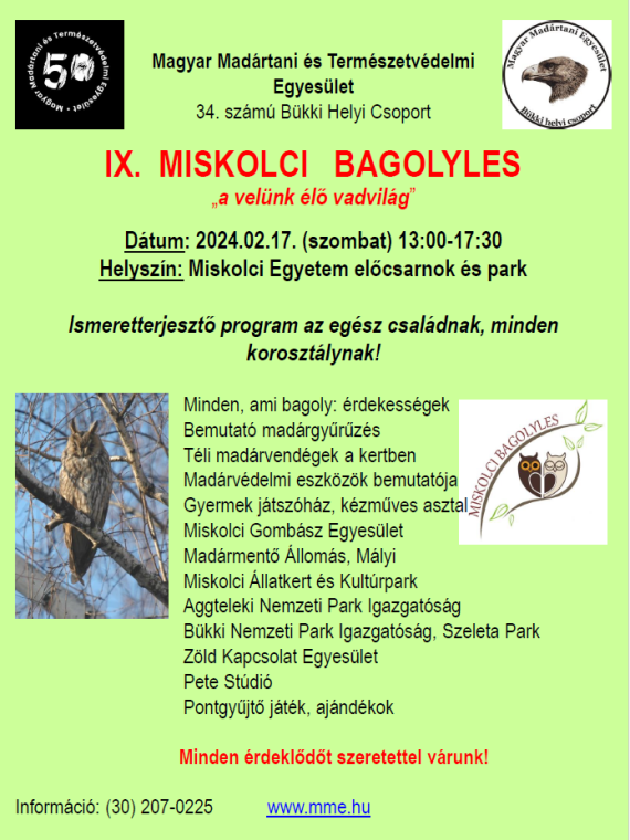 Miskolci bagolyles