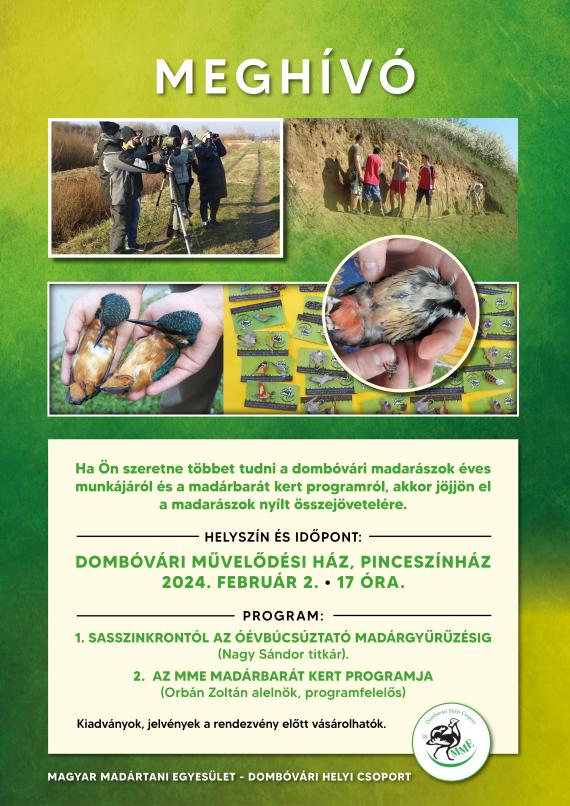 Dombóvár program