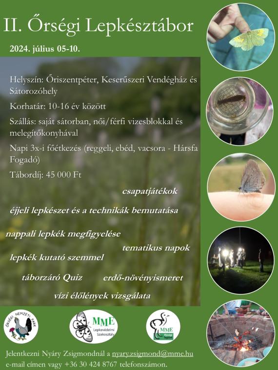 II. Őrségi lepkésztábor