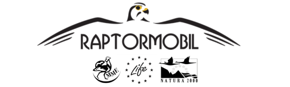 raptormobil logo