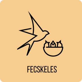 Fecskeles