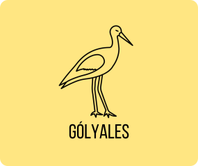 gólyales